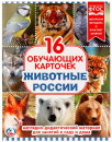 Карточки в папке Умка Животные России