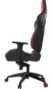 Кресло геймерское GAMDIAS HERCULES M1 L black-red3