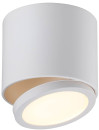 Потолочный светодиодный светильник Omnilux Canicatti OML-20501-01