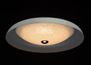 Потолочный светодиодный светильник MW-Light Ривз 6740164012