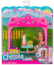 Игровой набор Barbie (Mattel) "Челси и набор мебели" FDB34