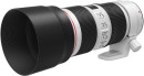 Объектив Canon EF II USM (2309C005) 70-200мм f/4L черный3