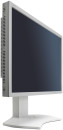 Монитор 21" NEC P212 белый IPS 1600x1200 440 cd/m^2 8 ms DVI HDMI DisplayPort VGA Аудио USB7
