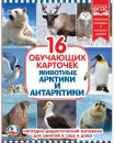 Карточки в папке Умка Животные Арктики и Антарктики