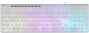Клавиатура проводная Oklick 490ML USB белый3