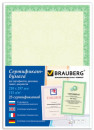 Сертификат-бумага для лазерной печати BRAUBERG, А4, 25 листов, 115 г/м2, "Зеленый интенсив", 1226232