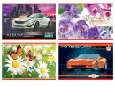 Альбом для рисования АППЛИКА Автомобили/Цветы A4 40 листов