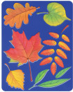 Трафарет-раскраска ЛУЧ "Листья деревьев", 165 мм х 205 мм, 10С 527-082